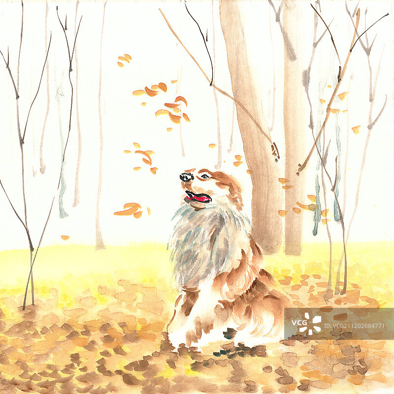 秋林里的小狗图片素材