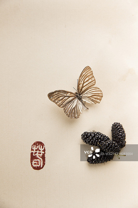 蝴蝶和桑椹图片素材