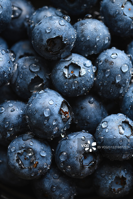 新鲜的蓝莓和水滴图片素材