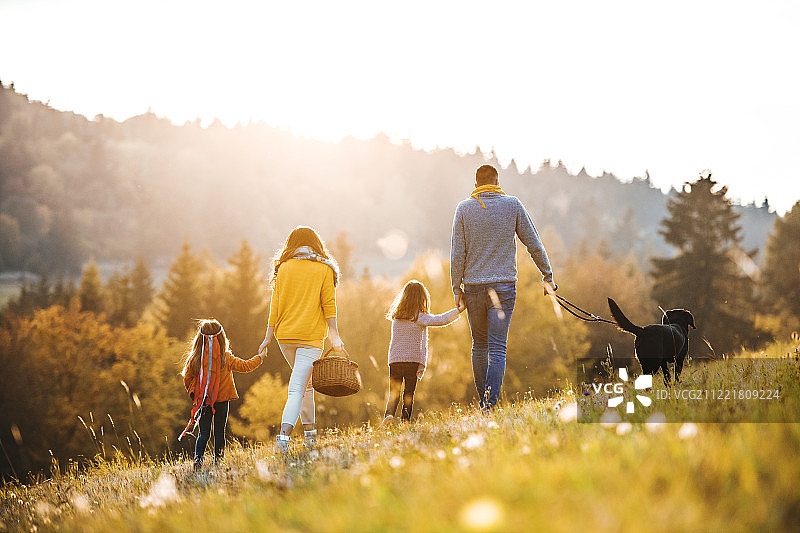 一个家庭与两个小孩和一条狗在秋天的自然散步的后视图。图片素材