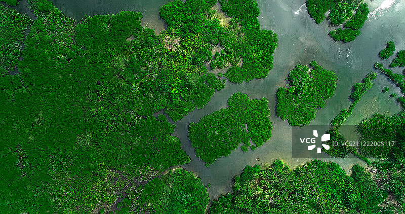 菲律宾Siargao岛红树林和河流的鸟瞰图图片素材