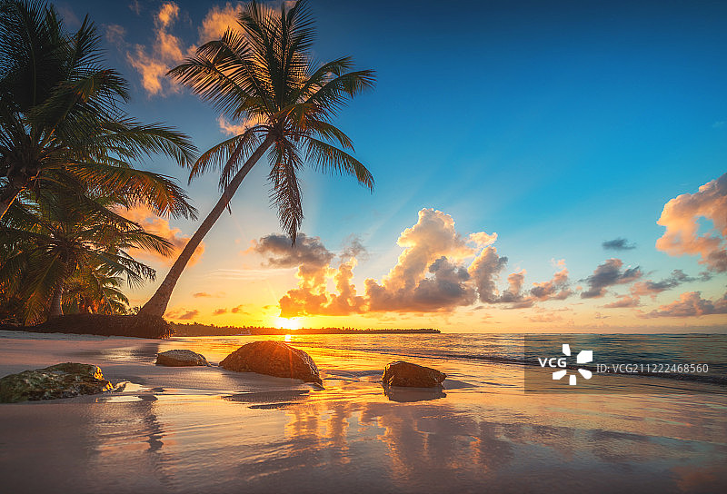 多米尼加共和国蓬塔卡纳的棕榈和热带海滩图片素材