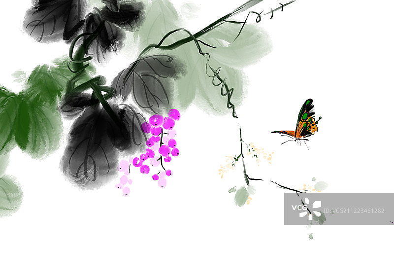 中国传统水墨花卉插画葡萄花蝴蝶图片素材