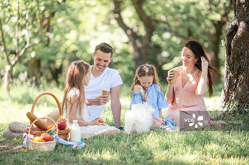 快乐的家庭在一个阳光明媚的日子里在公园野餐图片素材