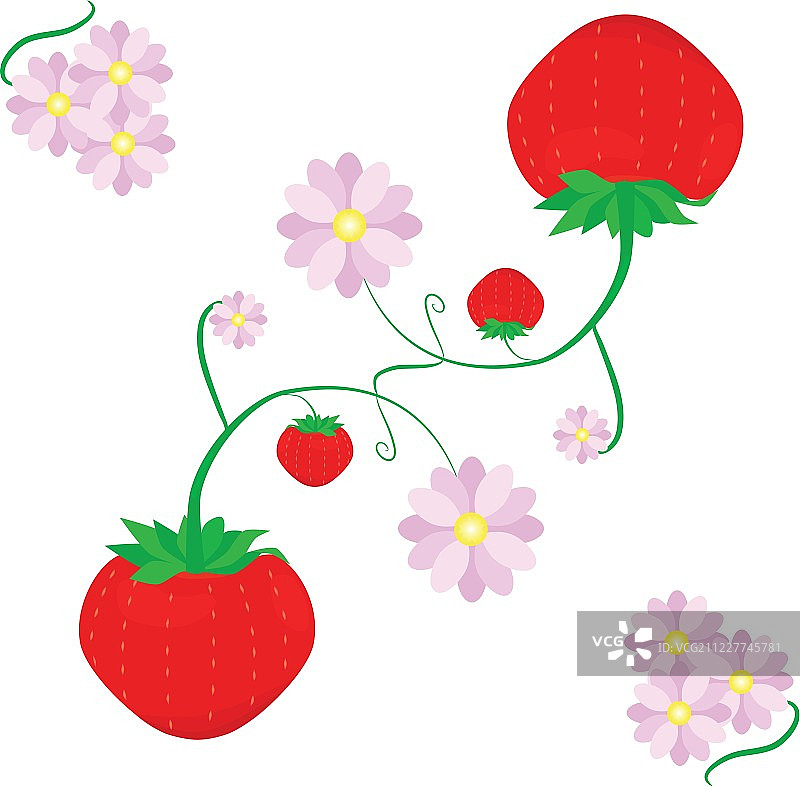 草莓和花，矢量插图图片素材