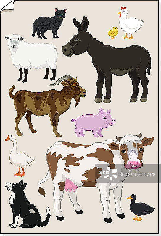 农场动物贴纸图片素材