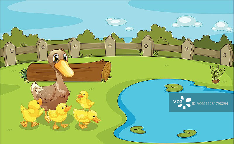 小池塘附近的鸭子图片素材