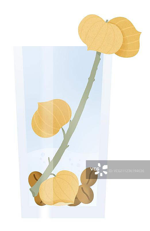植物咖啡豆玻璃杯装饰插画元素图片素材