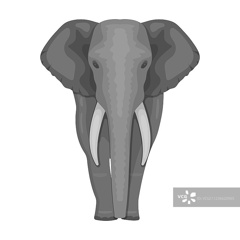 大象是非洲最大的野生动物图片素材