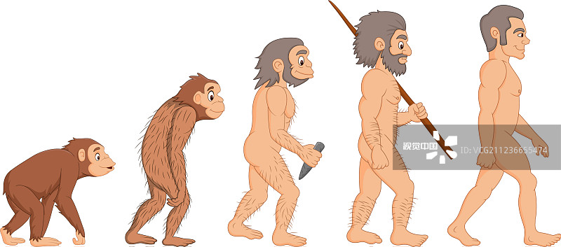 人类进化的卡通图片素材