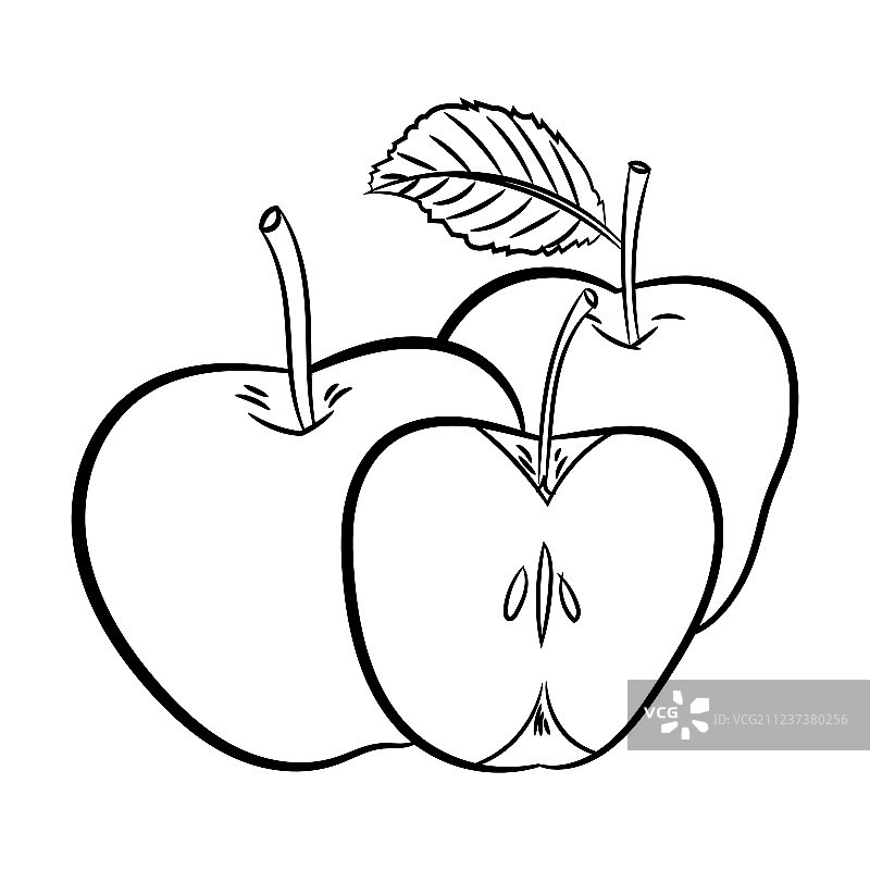 苹果的线条画-简单的线条图片素材