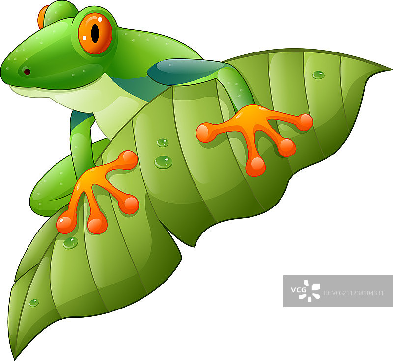 卡通红眼亚马逊树蛙在绿叶上图片素材