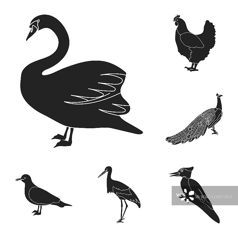 鸟类的类型黑色图标集合为图片素材