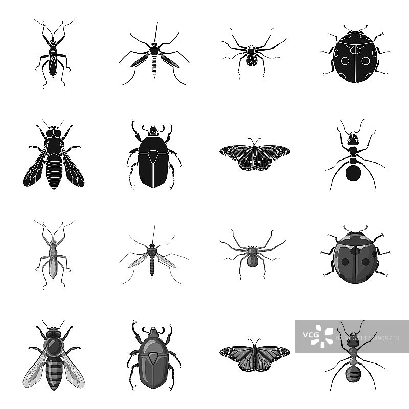 昆虫和苍蝇符号集的设计图片素材