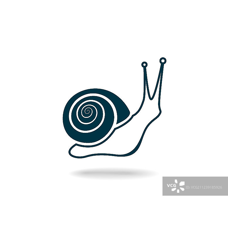 蜗牛的轮廓孤立在白色的背景上图片素材