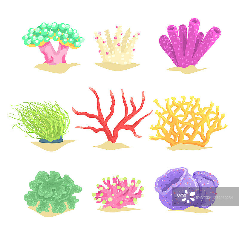 水下植物集海草和水生植物于一体图片素材