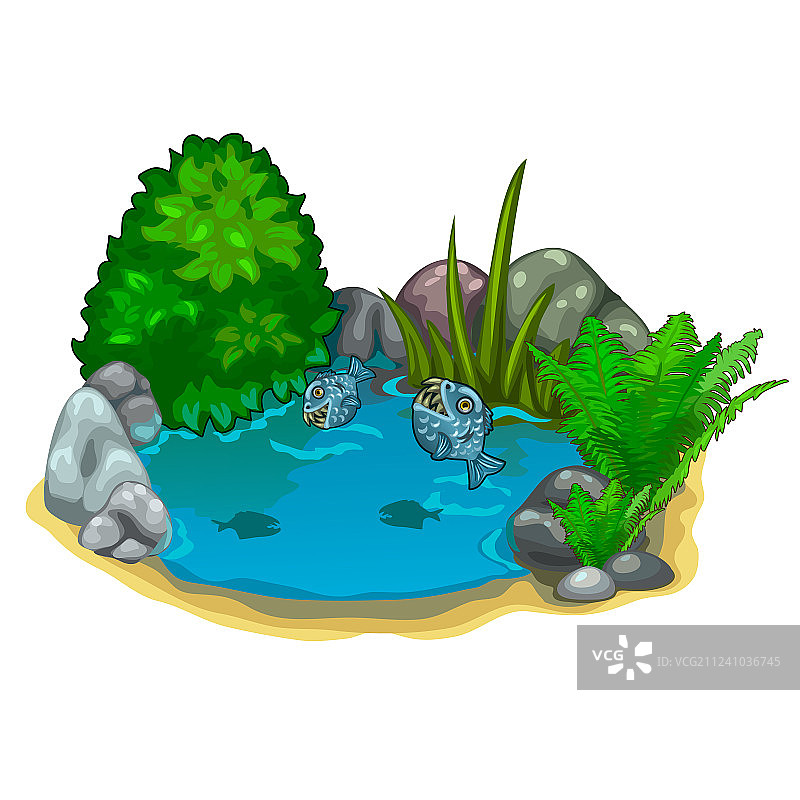 池塘里有食人鱼的植物和石头图片素材