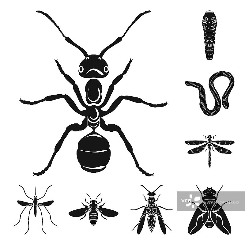 不同种类的昆虫黑色图标设置图片素材