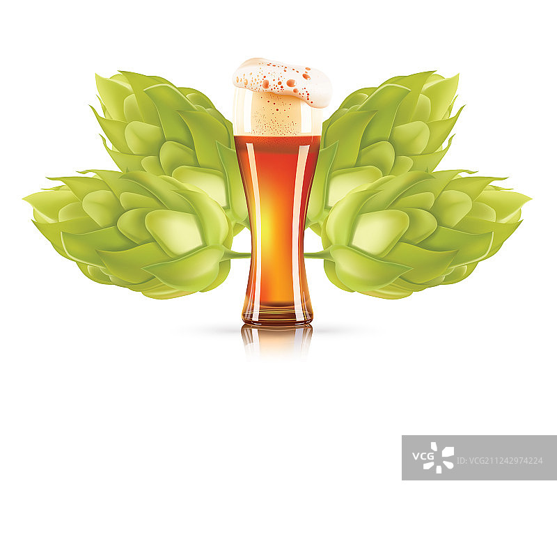 啤酒花植物和优雅的啤酒杯3d图标图片素材