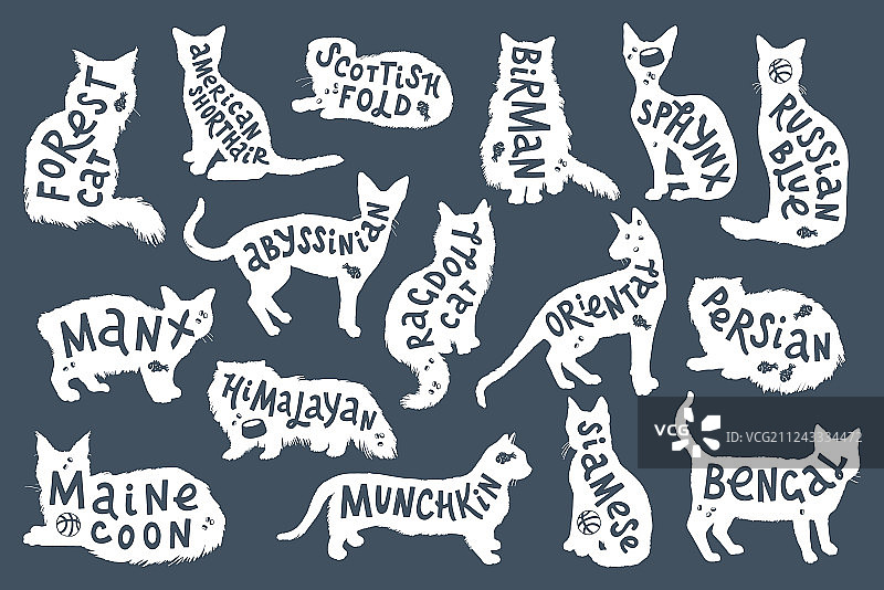 16个手绘字母，猫的品种图片素材