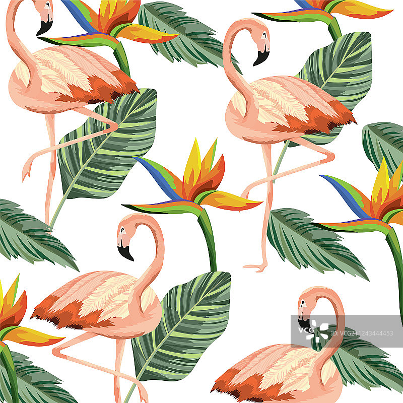 热带火烈鸟卡通图片素材