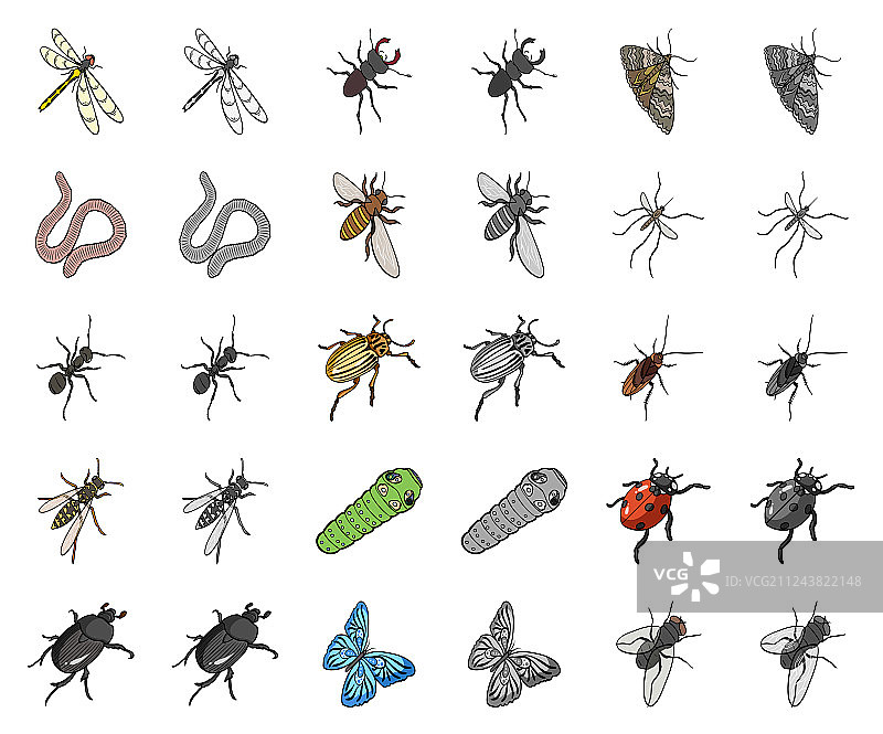 不同种类的昆虫卡通单色图标图片素材