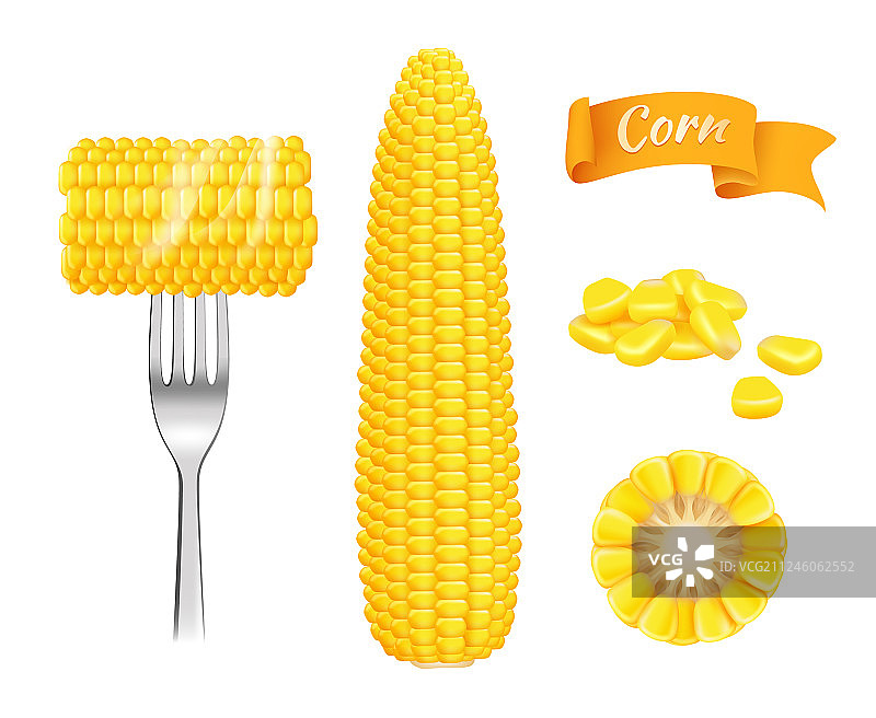 玉米真实的收获新鲜切谷物食用图片素材