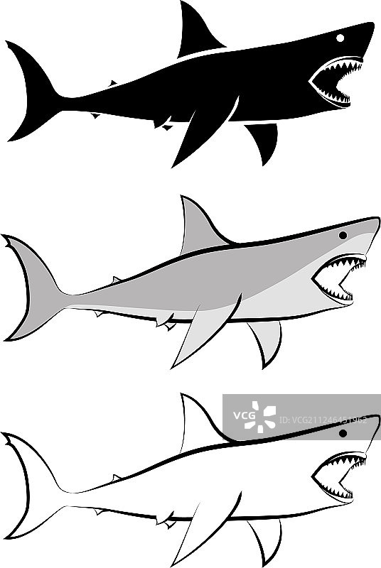 鲨鱼图片素材