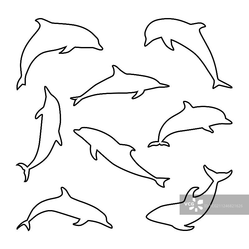 设置孤立的海豚在轮廓风格图片素材