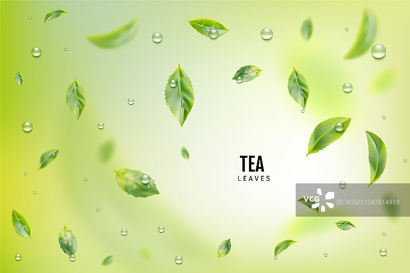 飞翔的新鲜绿茶叶背景图片素材