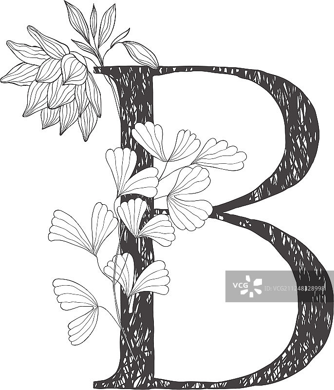 花卉植物字母字母与植物和图片素材