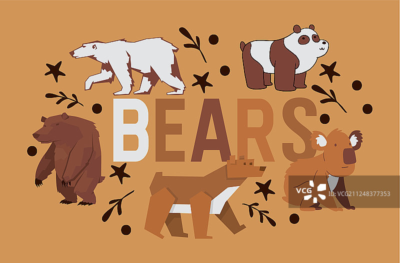 熊是野生动物，性格棕色灰熊图片素材
