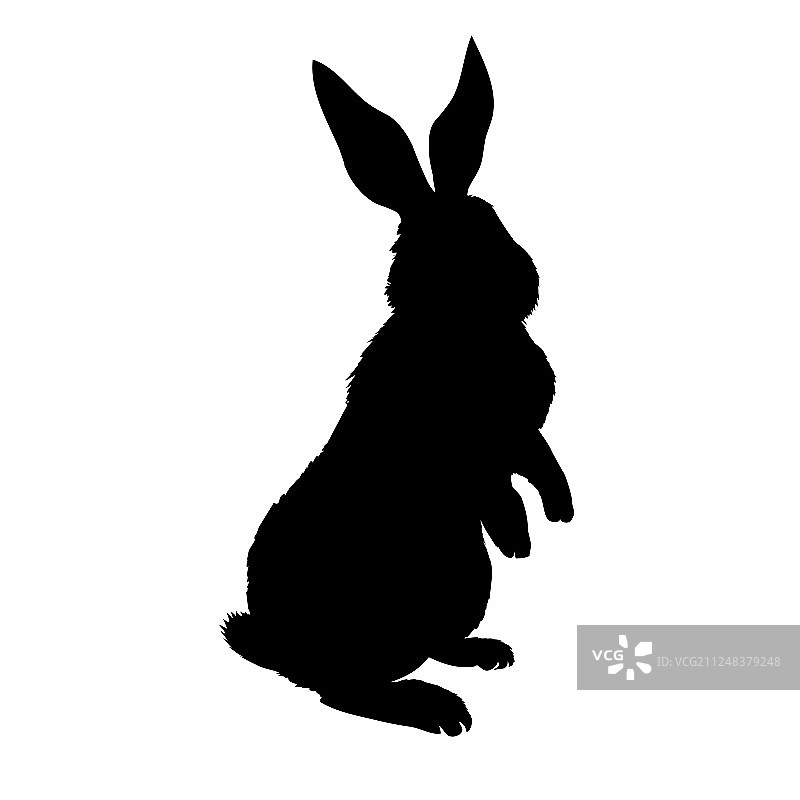 兔子轮廓图片素材