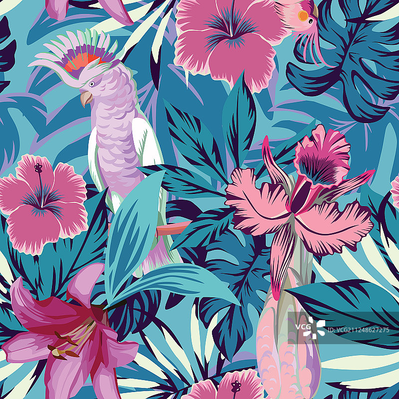 粉红色的鹦鹉花草，蓝色的背景图片素材