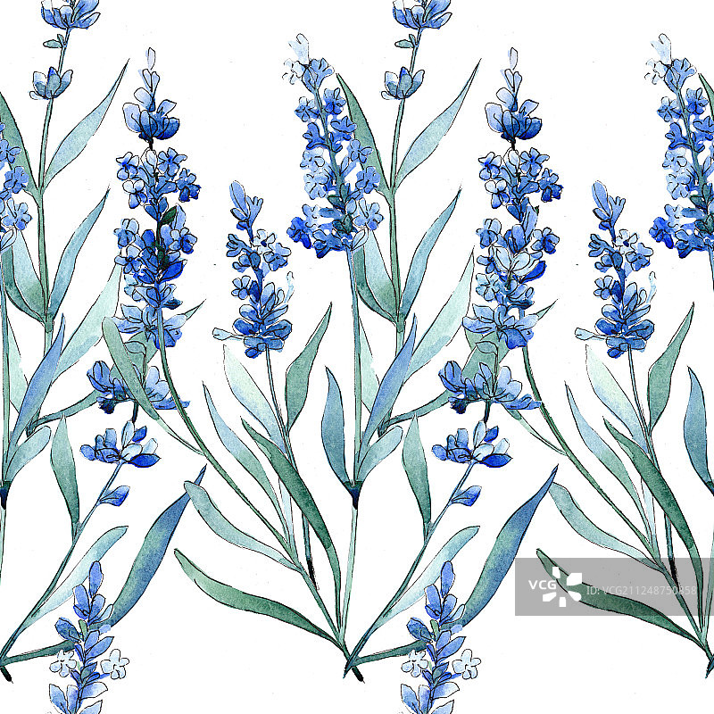 蓝色的薰衣草属植物花。水彩背景插图集。无缝的背景图案。图片素材