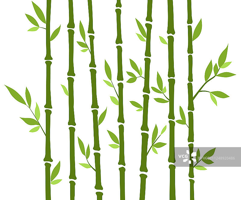 竹林集自然日本中国植物图片素材