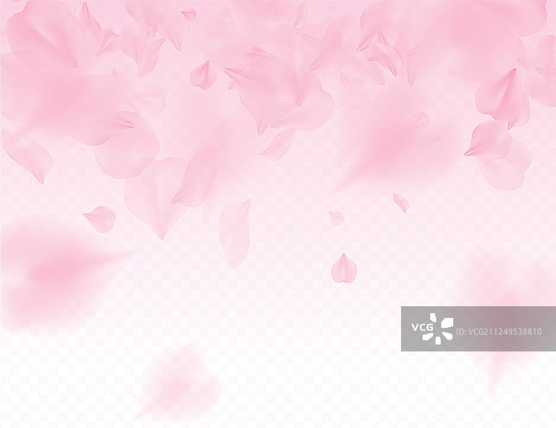 粉红色的樱花花瓣透明的背景很多图片素材