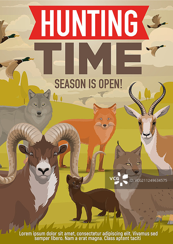 狩猎开放季节的森林野生动物和鸟类图片素材