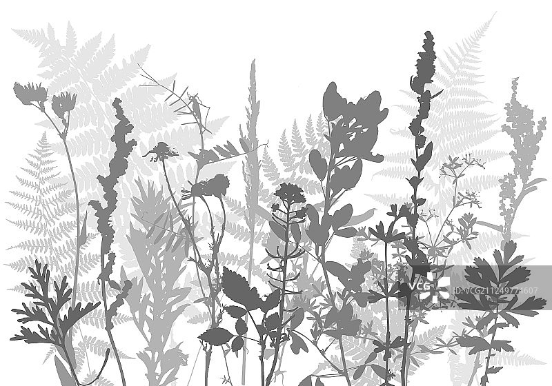 模板与树叶和植物的剪影图片素材