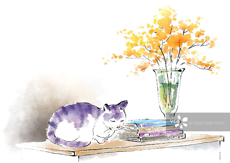 猫的水彩插图图片素材
