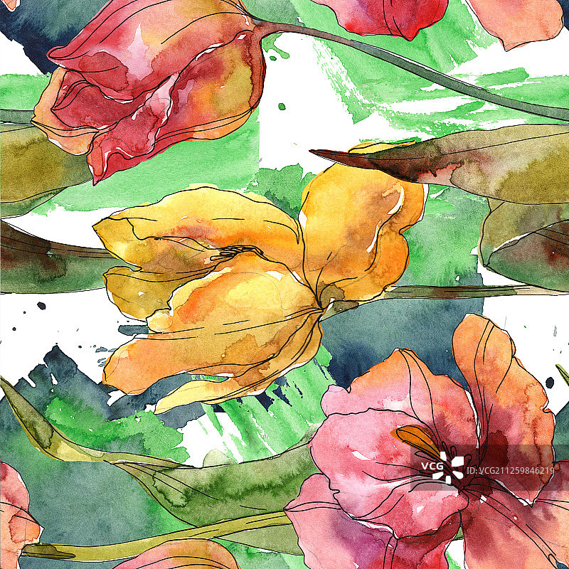郁金香是一种植物花。水彩背景插图集。无缝的背景图案。图片素材