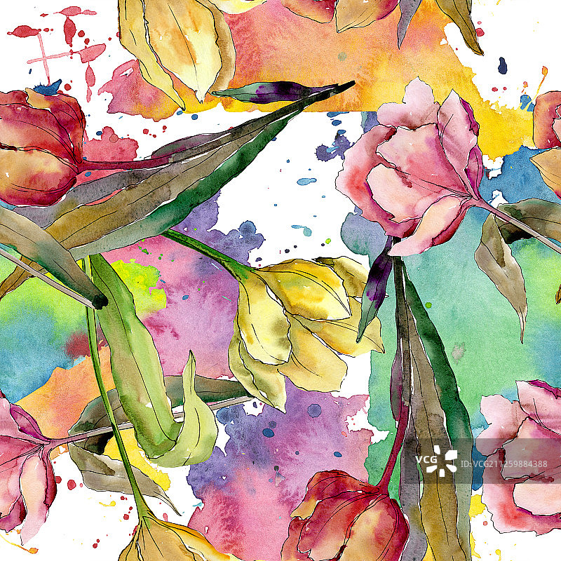 郁金香是一种花卉植物。水彩背景插图集。无缝的背景图案。图片素材