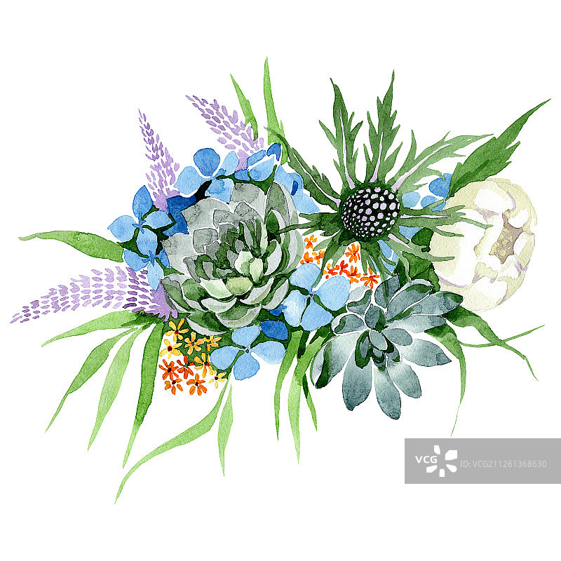 花束，植物花。水彩背景设置。孤立的花束插图元素。图片素材