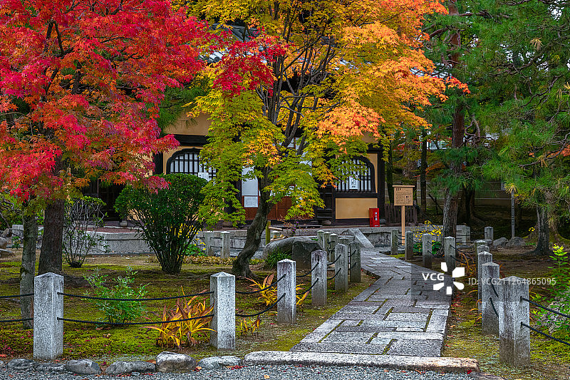 京都秋天枫叶季节妙法院图片素材