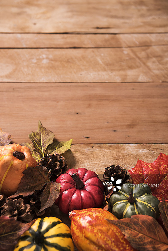 秋季概念摄影与枫叶和南瓜图片素材