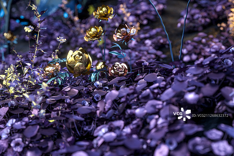 华贵鲜艳的植物花园 三维渲染图片素材