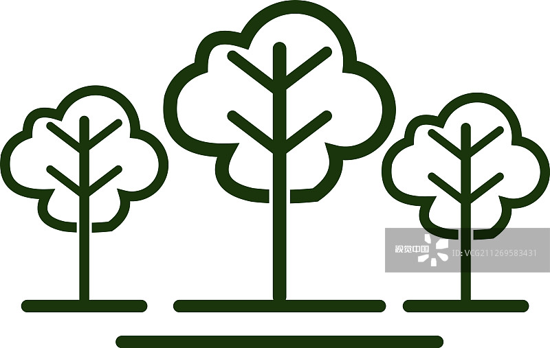 常绿松树、云杉、雪松标志设计图片素材