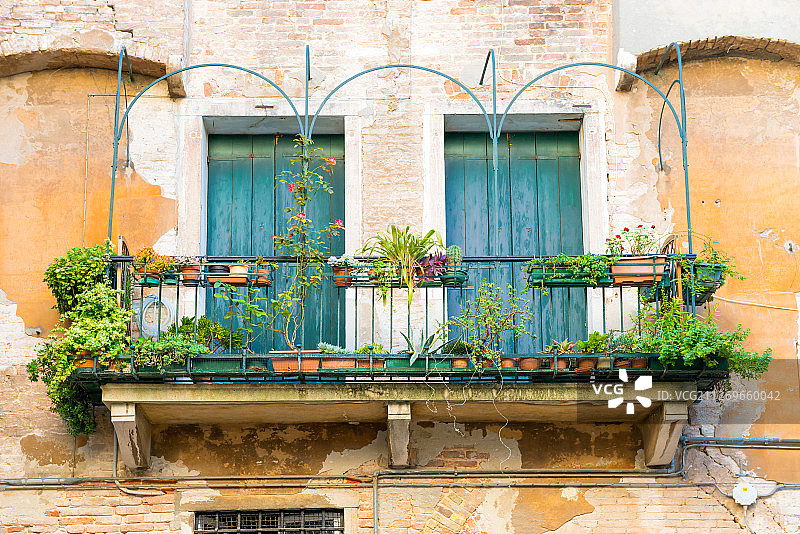 意大利威尼斯，威尼托，老房子的窗户和阳台上的花图片素材