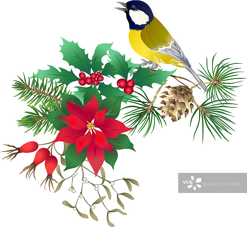 山雀-冬季圣诞花环的象征图片素材