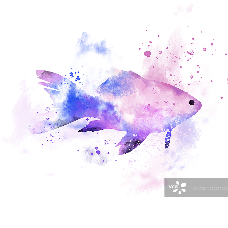 元素插画PNG水彩画喷溅水墨水里鱼类动物颜色多彩紫色蓝色图片素材